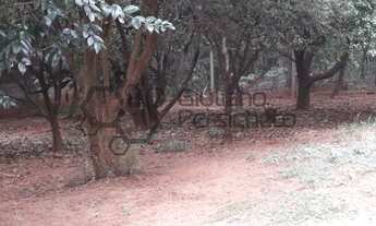 Imagem 3: CASA com 03 quartos para VENDA