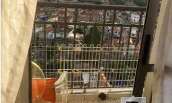 Imagem 7: Apartamento para venda tem 50 metros quadrados com 2 quartos em Vila Moreira - São Paulo