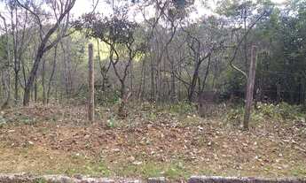 Imagem: Lote Pasárgada