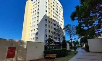 Imagem 6: Apartamento para locação Zona Leste de Londrina