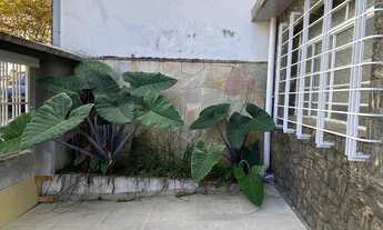 Imagem 6: Charmoso sobrado para locação na Vila Mariana