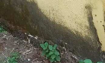 Imagem 3: Aluguel de casa Casa com 3 dormitórios