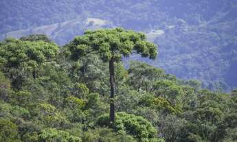 Imagem 3: Fazenda/Sítio/Chácara para venda com 3509000 metros quadrados