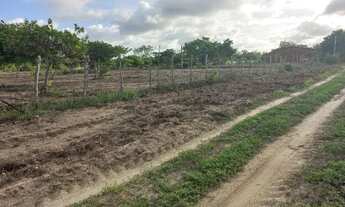 Imagem 6: Vendo terreno excelente para fazer uma chácara. 40m X 100m