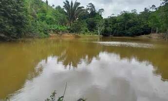 Imagem 7: Chacara em Marechal Floriano