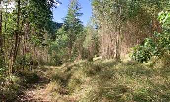 Imagem 2: Terreno 1000 metros para sitio em Igarata