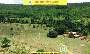 Imagem 3: Fazenda entre Palmas e Paraíso no Tocantins dupla aptidão