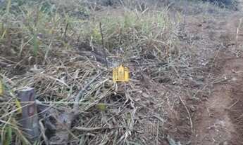 Imagem 4: Fazendinha em Esmeraldas