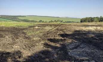 Imagem 6: Fazenda à venda em Ponta Grossa/PR