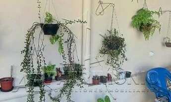 Imagem 3: SOROCABA - Casa Padrão - Maria Eugênia