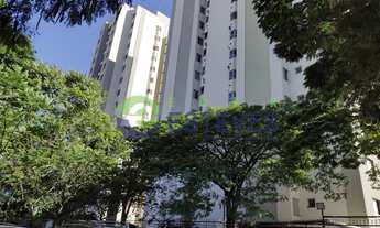 Imagem 3: Apartamento para aluguel possui 65 metros quadrados com 3 quartos em Jardim Íris - São Pau