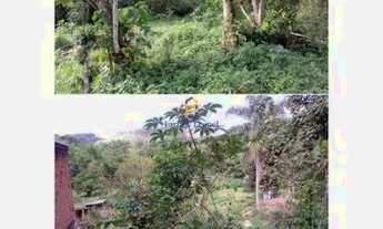 Imagem 2: Terreno para venda possui 10000 metros quadrados em Graminha - Juiz de Fora - MG