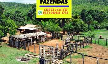 Imagem 7: Fazenda entre Palmas e Paraíso no Tocantins dupla aptidão