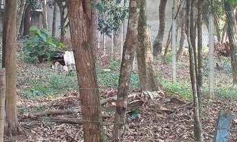 Imagem 3: Terreno à venda, 523 m² por R$ 280.000,00 - Fazendinha - Carapicuíba/SP