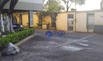 Imagem 2: Apartamento com 1 dormitório para alugar, 55 m² - Vila Guilherme