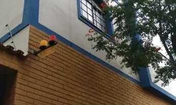 Imagem 2: Apartamento para aluguel e venda possui 124 metros quadrados com 3 quartos - Novo São Luca