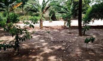 Imagem 3: Lote chácara Escriturado 2.000mts²