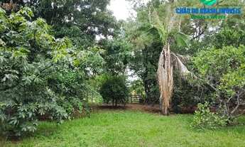 Imagem 6: CAMPO GRANDE - Chácara - CHÁCARA DAS MANSÕES - C. GRANDE, MS