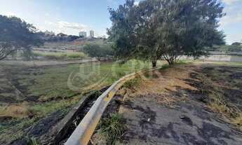 Imagem 5: ÁREA / LOTE / TERRENO COMERCIAL PARA LOCAÇÃO Plano Excelente área para quadra de esport