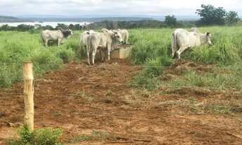 Imagem 5: VENDA Fazenda / sítio com venda por R$80.000.000