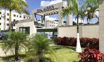 Imagem: NI- Alugo Apartamento I 2 quartos I em Camaragibe