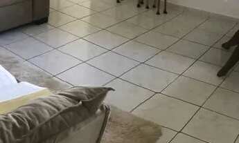 Imagem: Alugo quarto de apartamento na Farolândia