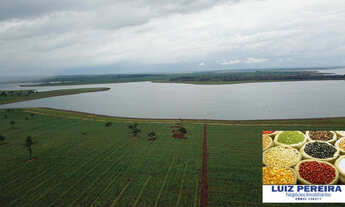 Imagem: FAZENDA À VENDA EM QUIRINÓPOLIS - GO