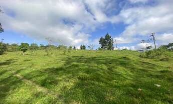 Imagem 6: Sitio 28.000m2 mogi das cruzes