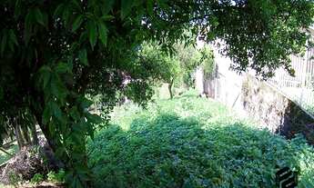 Imagem 4: TERRENODOIS IRMÃOS