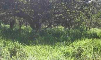 Imagem 6: Chácara de 5.000m² a 500m² do asfalto, São Jose do Almeida (Temos varias opções)