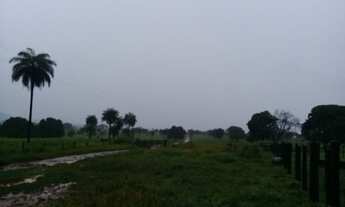 Imagem 2: Fazenda 370 Alqueires 67 Km de Formosa