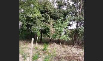 Imagem 6: Terreno 5 mil metros quadrados