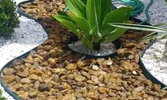 Imagem 4: Casa em Condomínio para Venda em Sorocaba, Horto Florestal, 3 dormitórios, 1 suíte, 2 banh