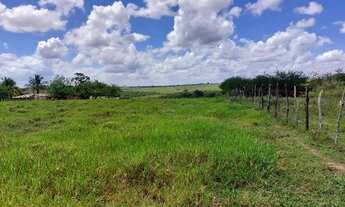 Imagem 3: Fazenda 70 tarefas - Siriri