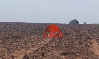 Imagem 6: Excelente Propriedade Rural Taquaritinga-SP