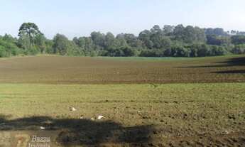 Imagem 5: Rural chacara com 1 quarto - Bairro Miringuava em São José dos Pinhais