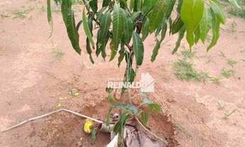 Imagem 7: Chácara com 2 dormitórios à venda, 1014 m² por R$ 297.000,00 - Vivendas do Engenho D Água