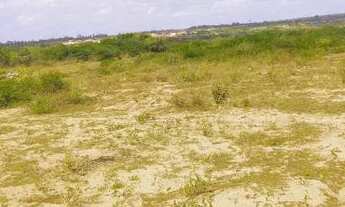 Imagem 3: Repasse de terrenos são 2 lotes medindo cada 10 por 20