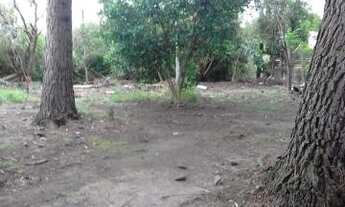 Imagem 7: Casa - Santa Maria RS