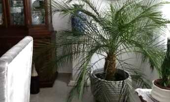 Imagem 10: Apartamento para venda possui 301 metros quadrados com 5 quartos em Boqueirão - Santos - S