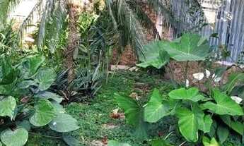 Imagem 2: CASA TÉRREA - LAPA - SP