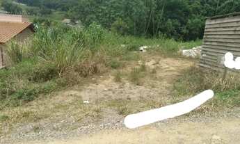 Imagem 4: Lote/Terreno para venda possui 350 metros quadrados em Praia de Fora - Palhoça - SC