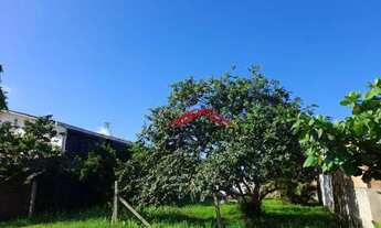 Imagem: Terreno à venda, 392 m² por R$ 190.000,00