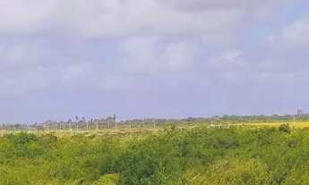 Imagem 6: Repasse de terrenos são 2 lotes medindo cada 10 por 20