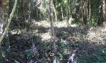 Imagem 2: Terreno á venda - Itanhaém/SP - Gaivota