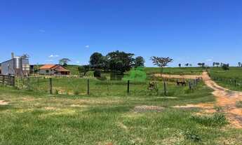 Imagem 3: Fazenda DUPLA APTIDÃO, MONTADA NA PECUÁRIA, 155 alqueires à venda por R$23.250.000,00 - Mu