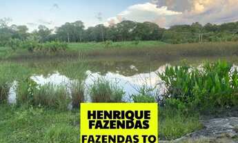 Imagem 2: Fazenda entre Porto Nacional e Fatima Tocantins