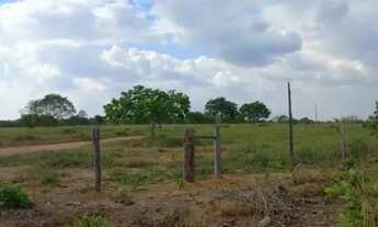 Imagem 3: Fazenda a venda dupla aptidão Cuiabá MT