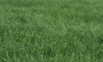 Imagem 7: VENDA Fazenda / sítio com venda por R$80.000.000