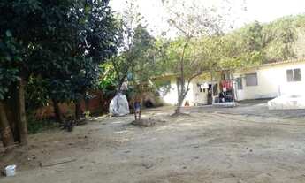 Imagem 2: Terreno chapeiro Itaguaí